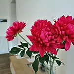 Principe Bed and Breakfast 3*