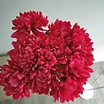Principe 3* Μπάρι
