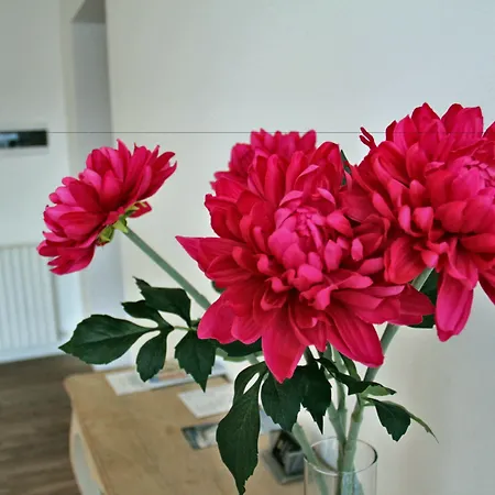 Principe فندق مبيت وإفطار 3*