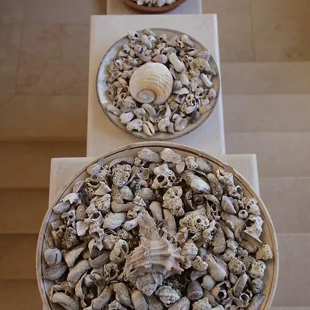 普林西比住宿加早餐旅馆 住宿加早餐酒店 巴里