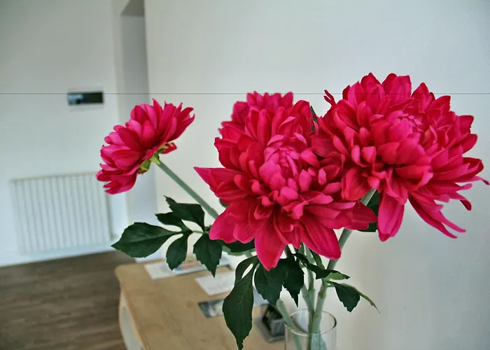 Principe Отель типа 