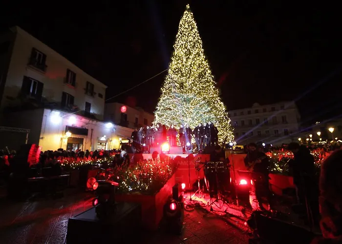 Principe Alojamento de Acomodação e Pequeno-almoço Bari