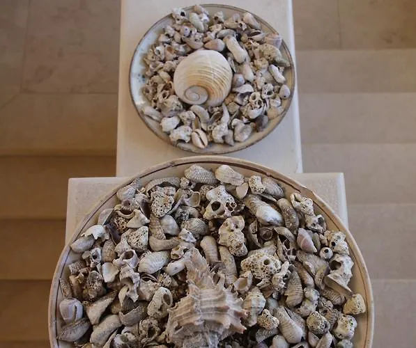 Principe Готель типу 