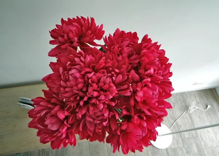 Principe 3* Бари